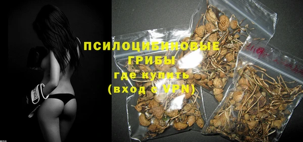 тгк Аркадак