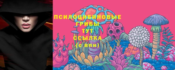 стафф Армянск